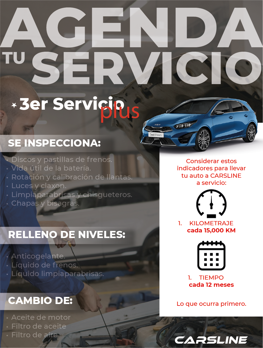 servicio 3