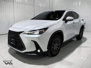 Lexus NX 250 AWD 2025